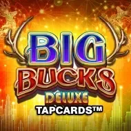 Big Bucks Deluxe Tapcards icon